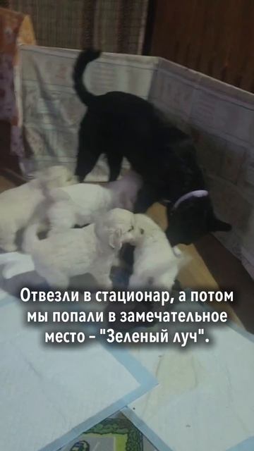 Я хочу домой