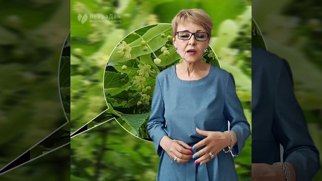Экстракт цветков липы в составе Сыворотки и Ночного крема в системе омоложения КОЛЛАГЕН-БУСТЕР