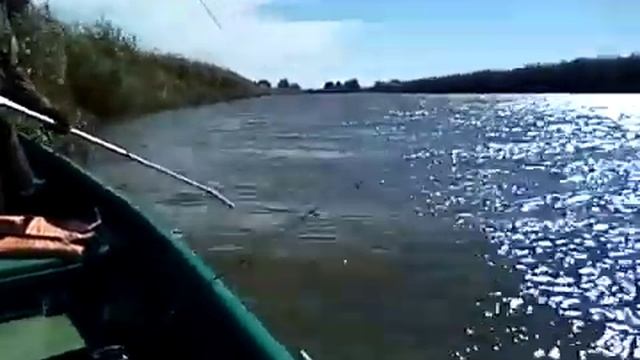 Астраханская рыбалка на базе отдыха Капитан