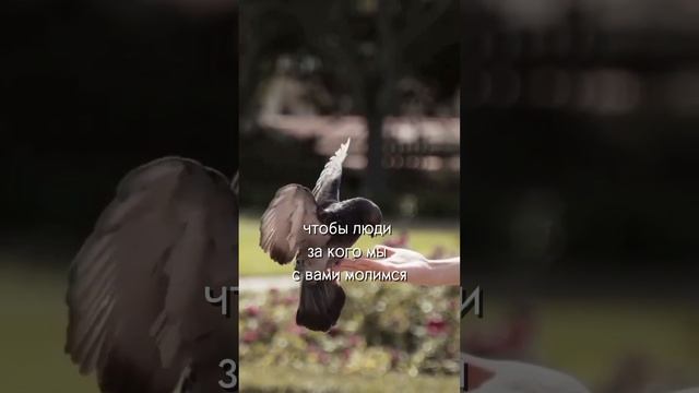 Слово.mp4