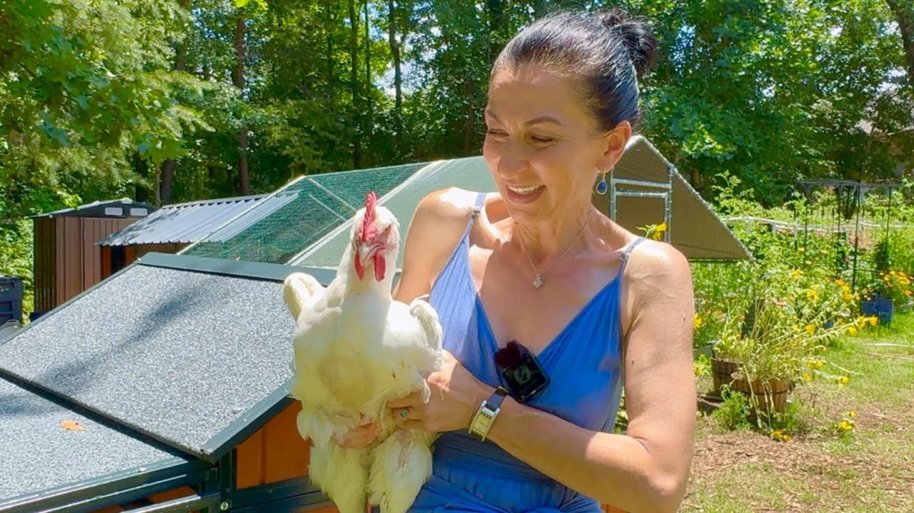 Эгине. Прибавление в Курином Семействе 🐓🐔 Шопинг из Мексиканского Магазина
