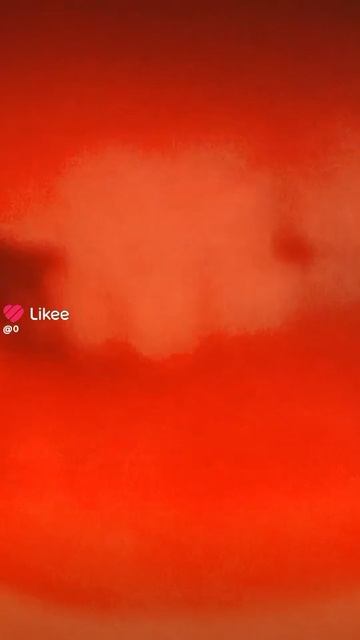 1000028061.mp4