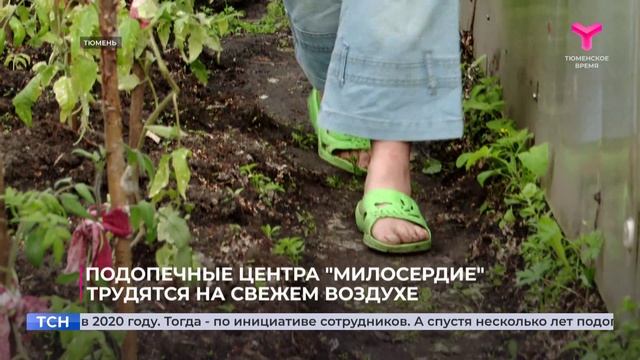 Лето - время огорода