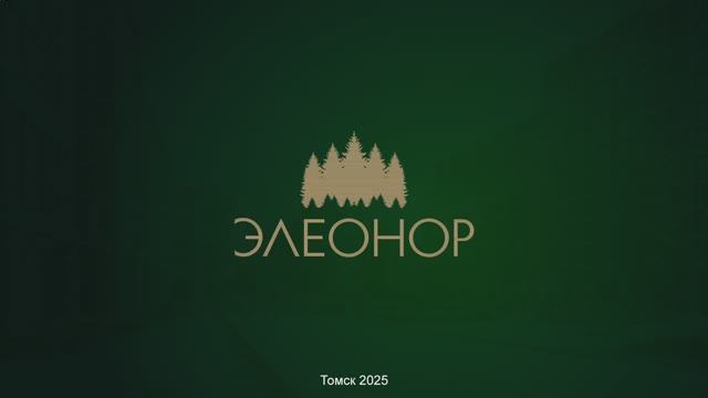 О проекте «Элеонор»