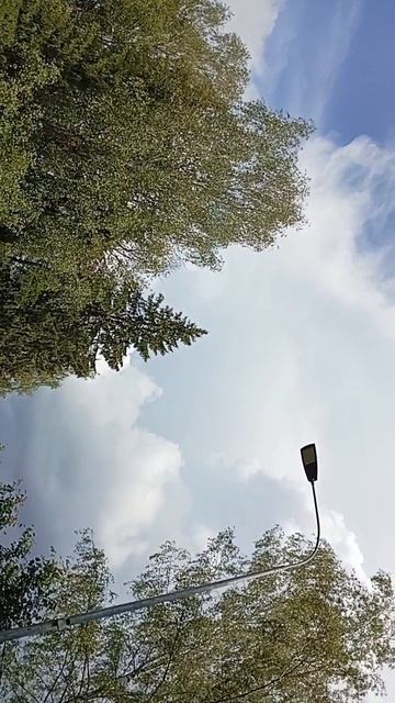scene_output.mp4