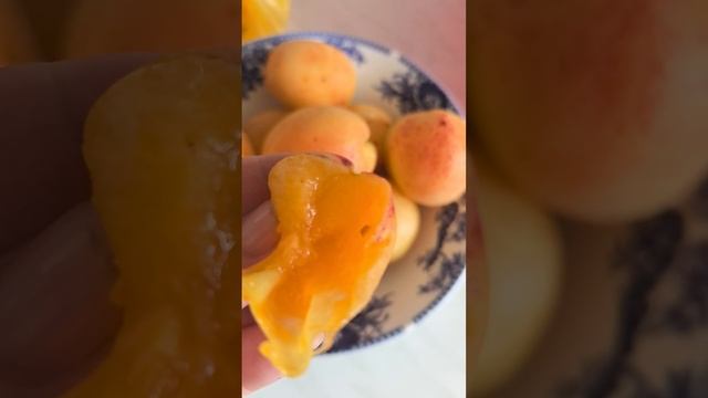Абрикосы, вишня, огурцы, кукуруза на рынке 24.06.25