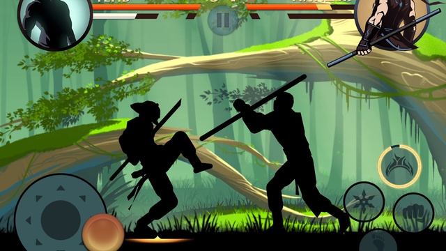 Летний Бой в Shadow Fight 2 № 366