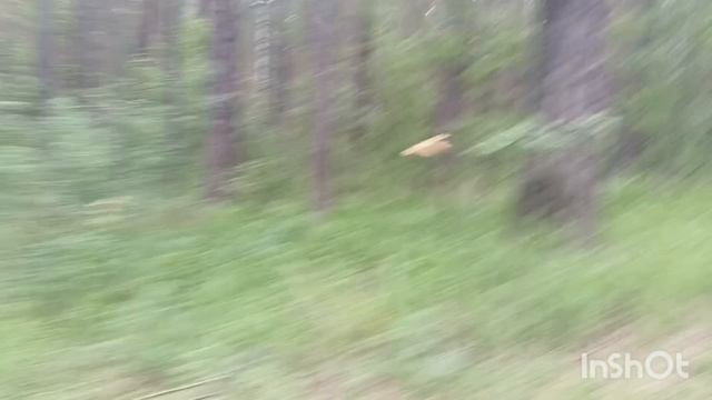 Едем домой из Каракана,