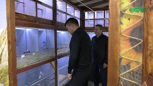 В Уфе построят центр юного кинолога
