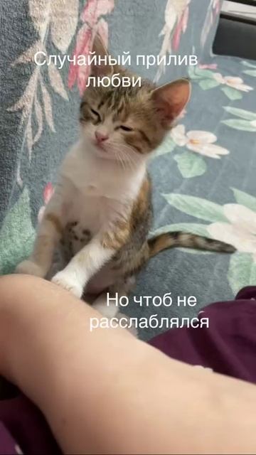 VID_20250625_050945_969.mp4
