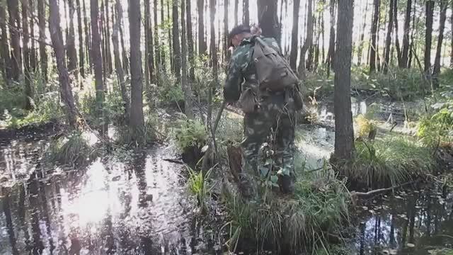 Как ходить по болоту