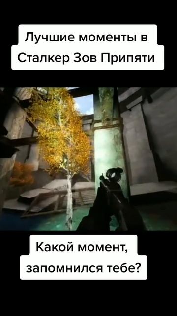 Сталкер