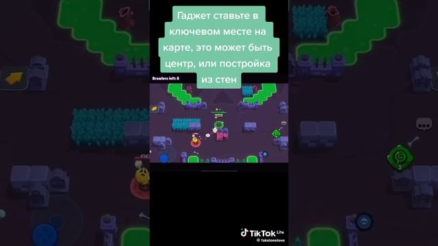 на какой ранг мне апнуть леона на 25 или 30?