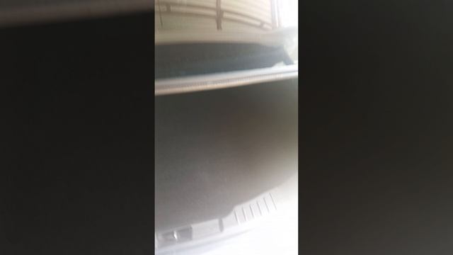 1000446572.mp4