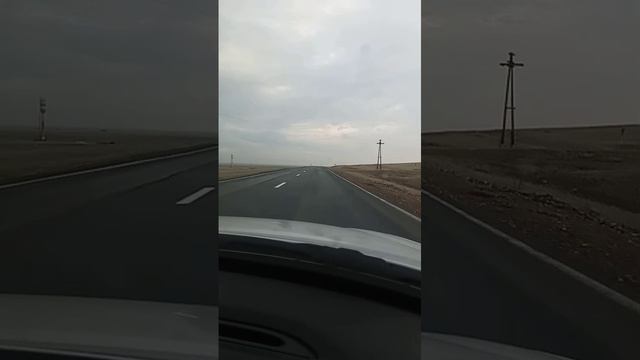 Дорога. Степи. Не одного лежащего.