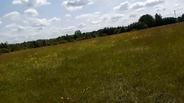 На горе Лысой