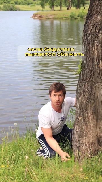Вот тебе и милашки барсуки 🦡😈