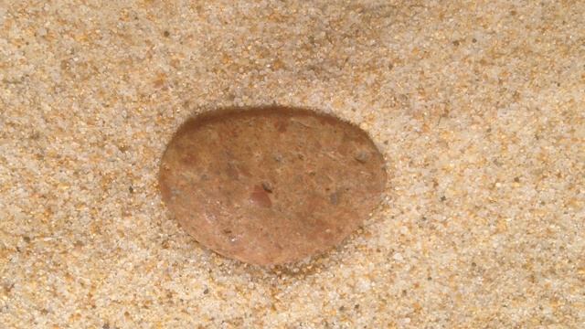 Сардиния — остров в Средиземном море, расположенный к западу от Апеннинского полуострова ....