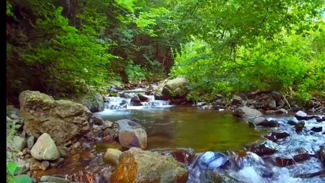 придумайте пожалуйста для видио