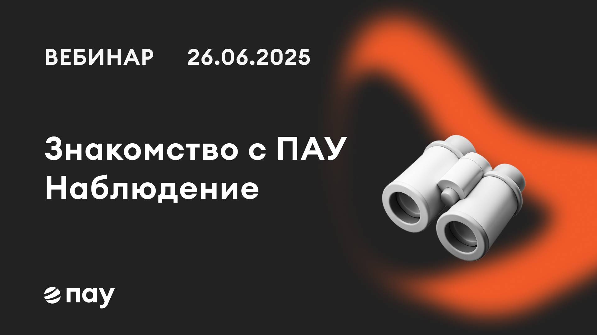26.06.25, Знакомимся с программой «ПАУ», процедура Наблюдение