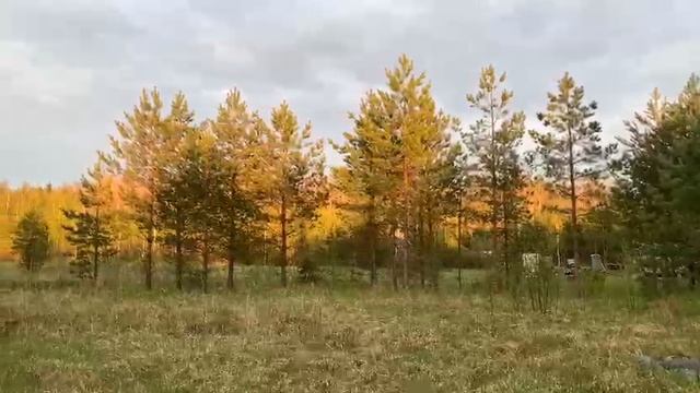 1000003599.mp4
