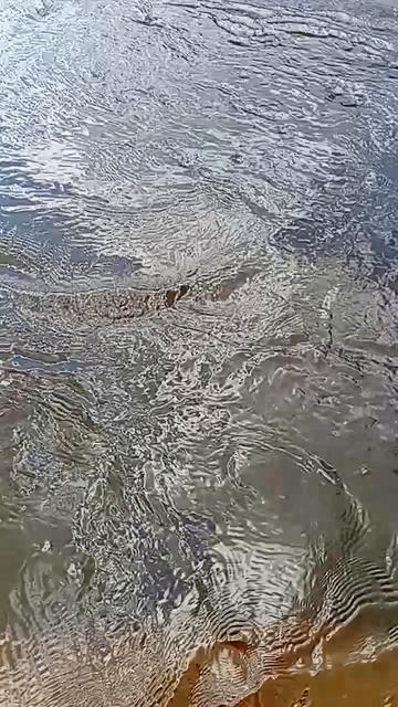 1000005498.mp4