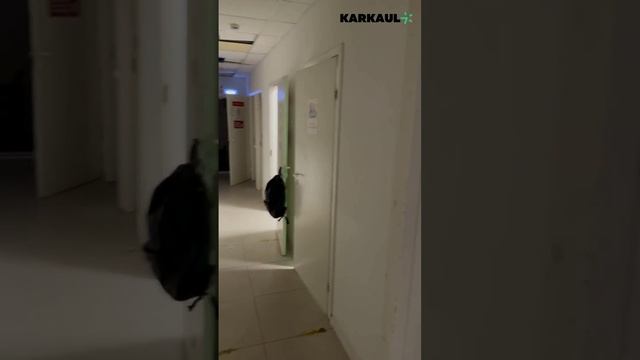 Moover, новое помещение сервиса