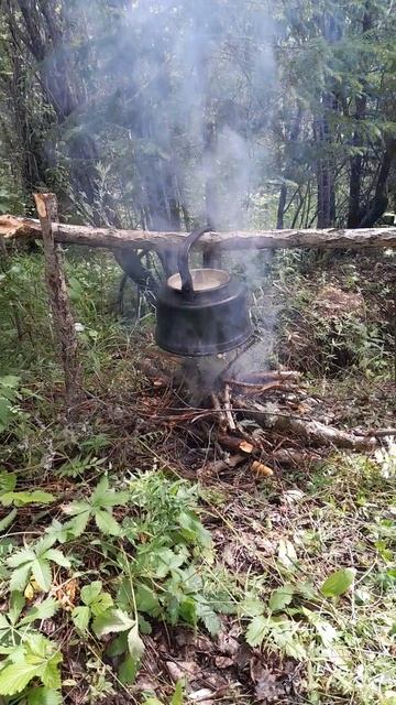Чайник на костре, будем пить чай