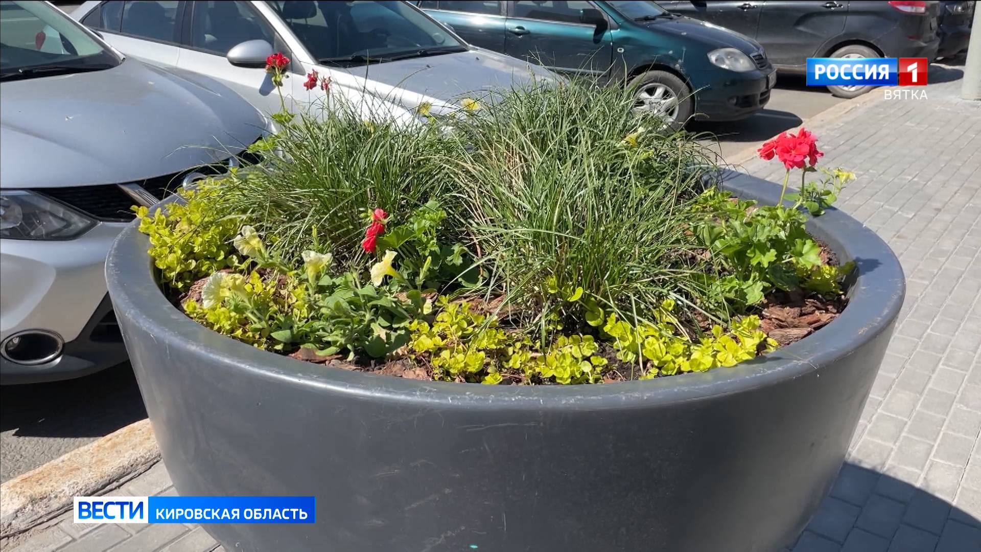 В Кирове высадили более 8,5 тыс. квадратных метров цветников
