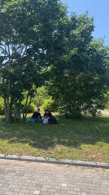 Геодезия с видом на море: чем занимаются студенты ДВФУ в идеальный июньский день