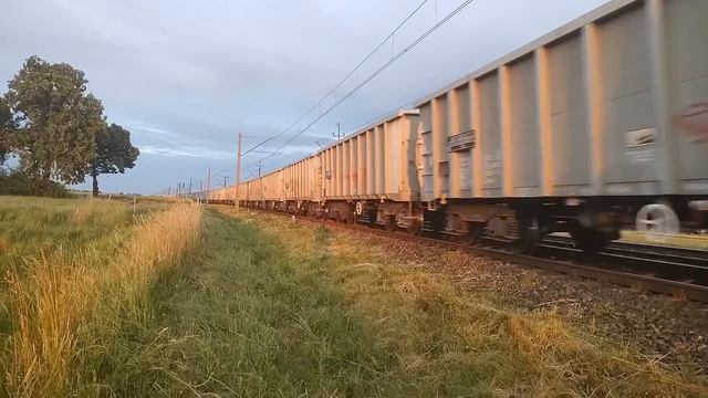 Электровоз E6ACTadb -029 дракон с полувагонами