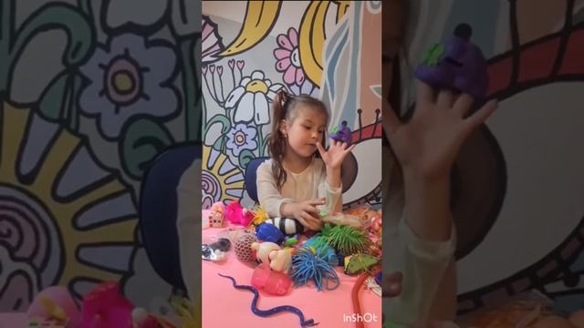 Садовникова Софья