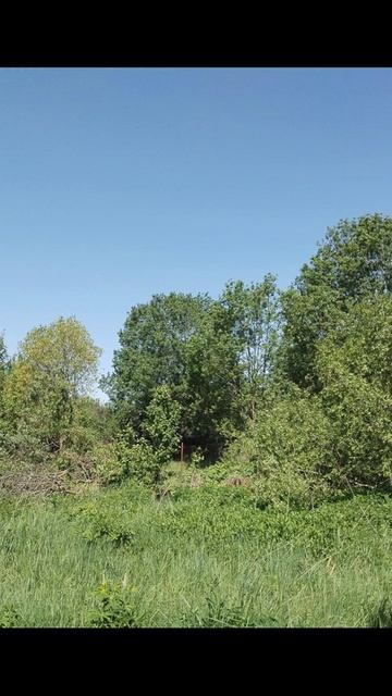 вороново