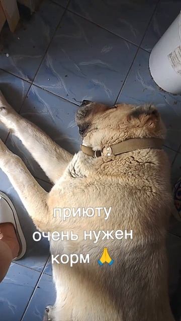 +7985 193 0027