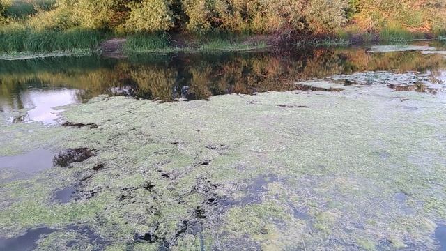 Река Атмис