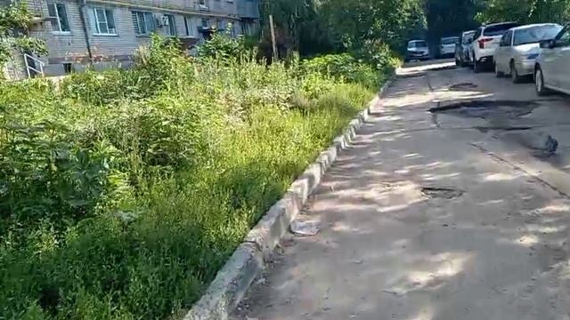 Одно летнее утро