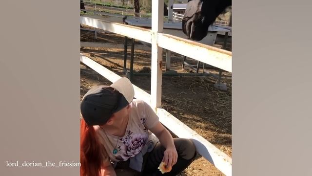 Никто Не Хочет Иметь Дело С Этой Очень Сложной Лошадью