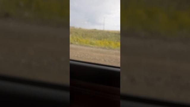 20250619_175340.mp4