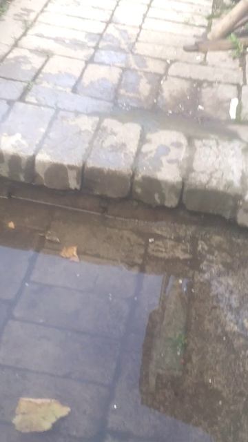лето в Мариуполе