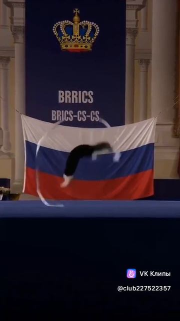 Кот спортсмен