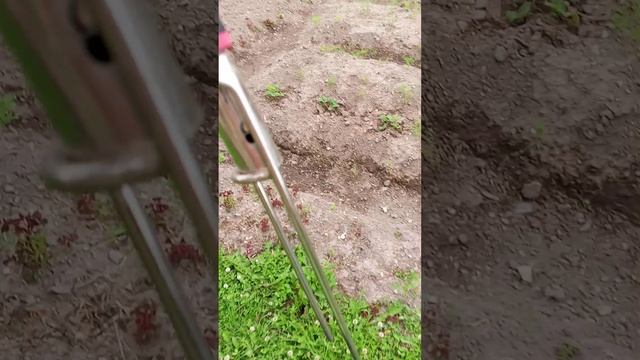 Обзор на самоподсекающеюся удочку