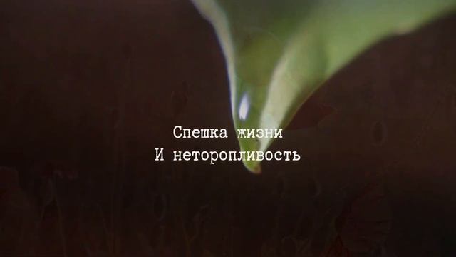 В её взгляде — февраль, в его голосе — жара | Гладков Проджект — Губы