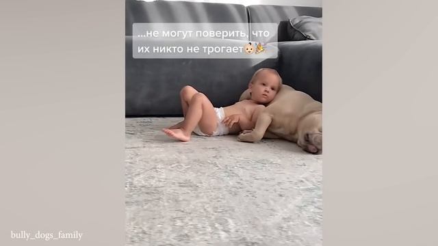 Питти Без Ума От Своего Нового Маленького Друга!