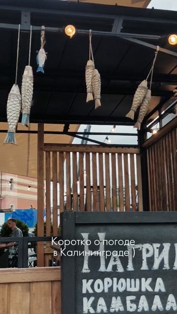 Коротко о погоде в Калининграде. 
Июнь 2025