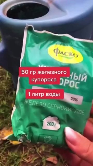 Как избавиться от лишайника на дереве! Самый простой способ!