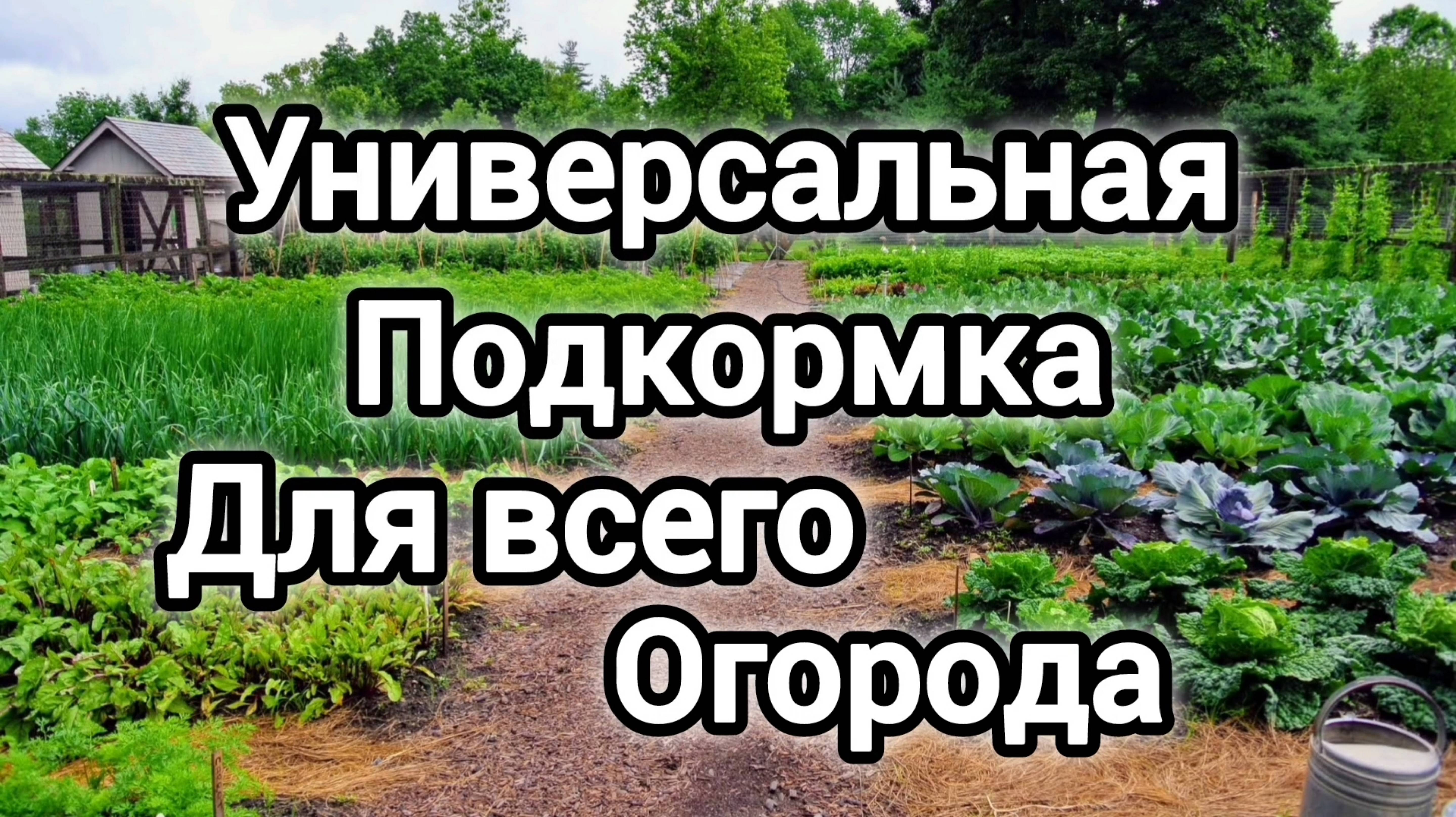 УНИВЕРСАЛЬНАЯ ПОДКОРМКА ДЛЯ ВСЕГО ОГОРОДА