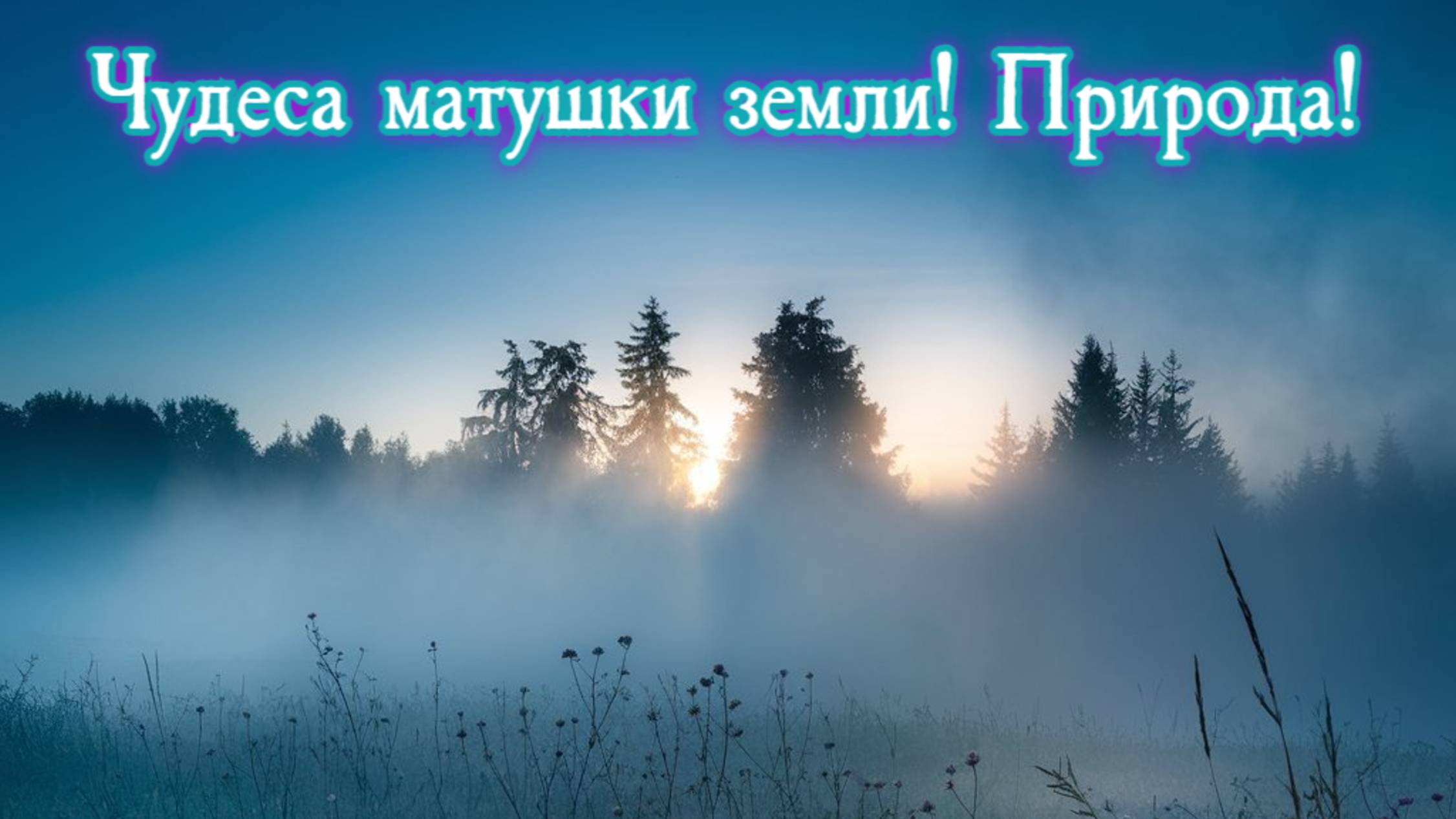 Чудеса матушки земли! Природа! Премьера трека!