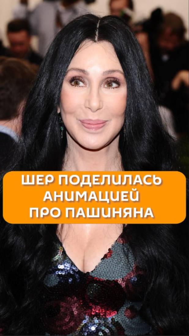 Шер поделилась анимацией про Пашиняна