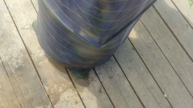 WhatsApp Video 2025-06-25 at 11.27.41