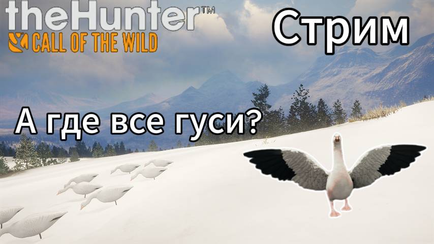Охота на Белых гусей в ASKIY RIDGE. theHunter: Call of the Wild